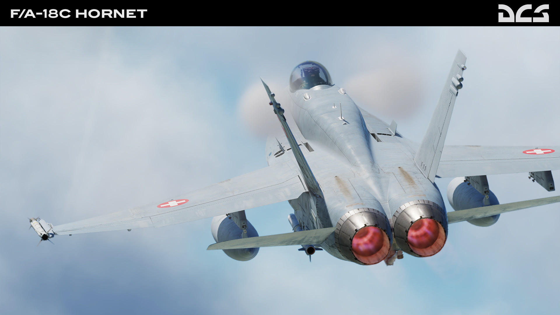 DCS World: F/A-18C Hornet