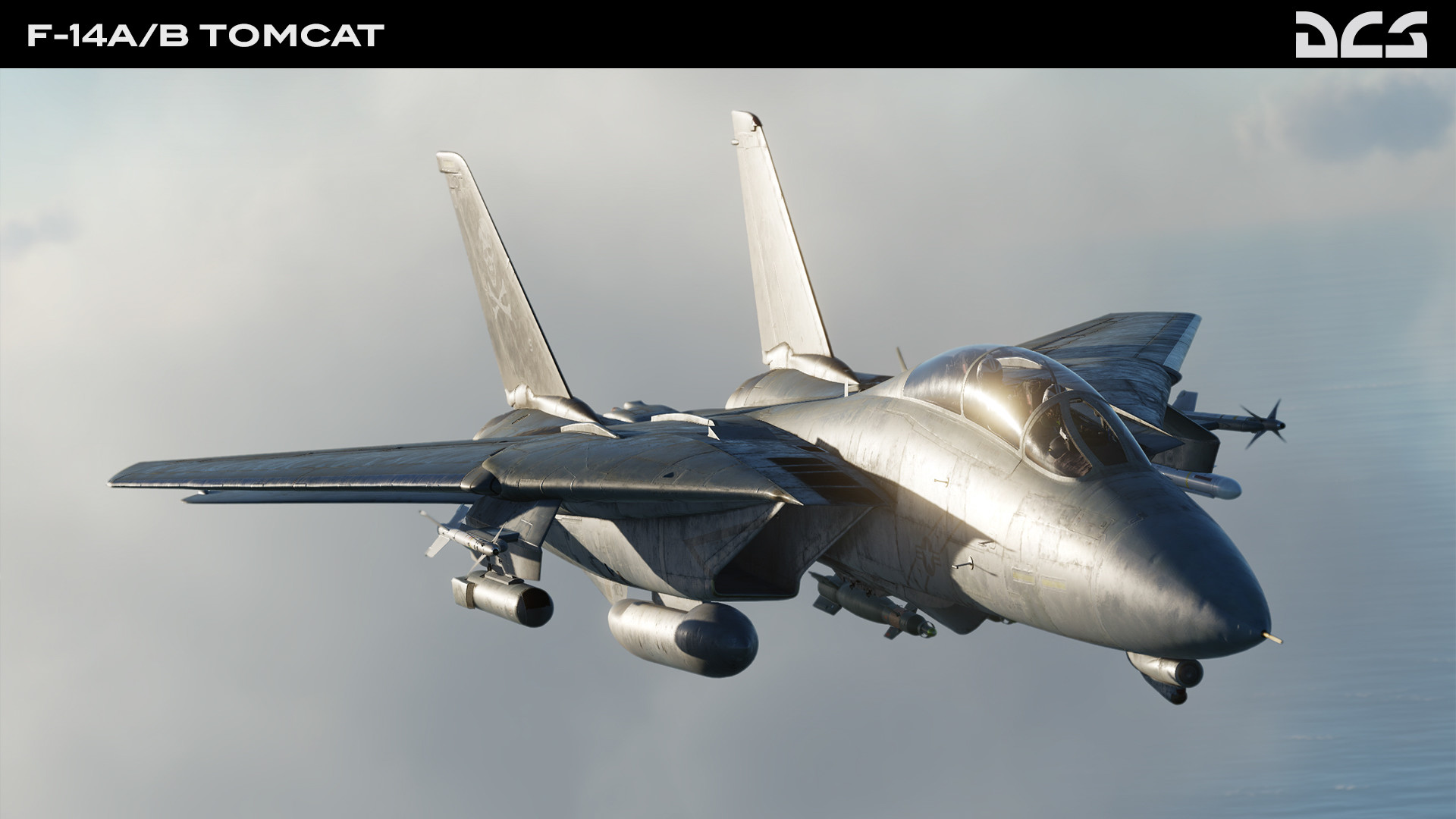 DCS World: F-14A/B Tomcat
