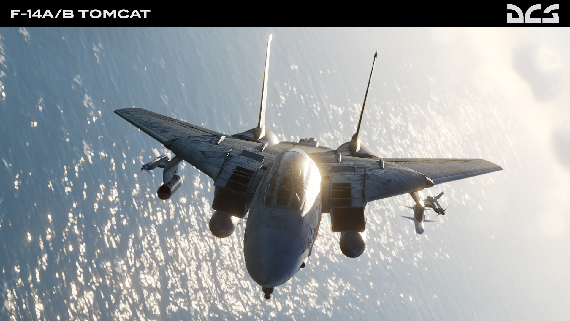 DCS World: F-14A/B Tomcat