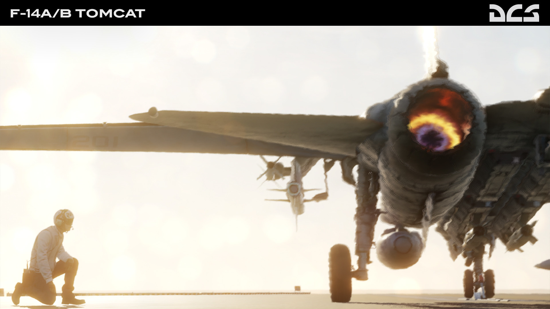 DCS World: F-14A/B Tomcat