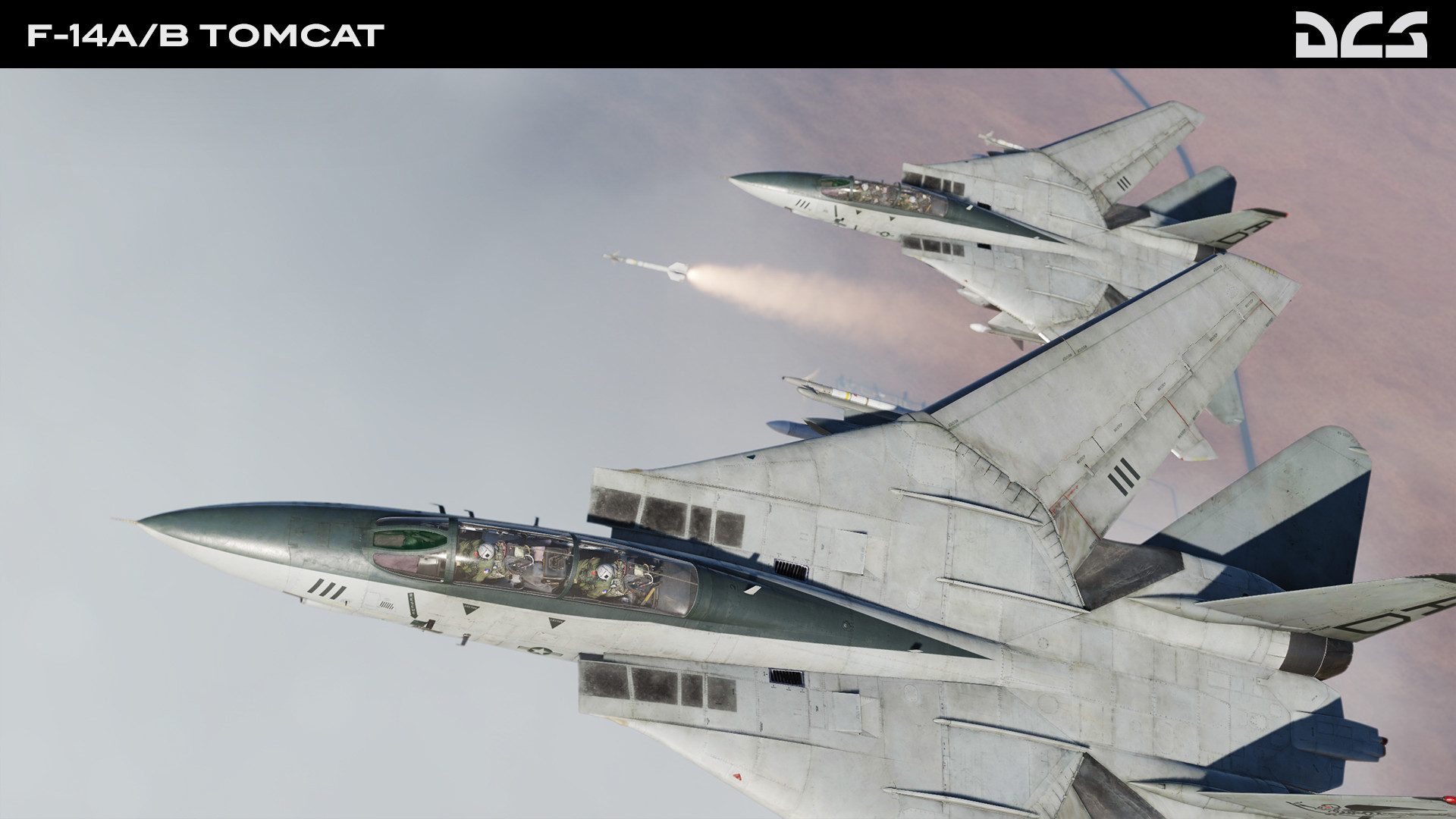 DCS World: F-14A/B Tomcat