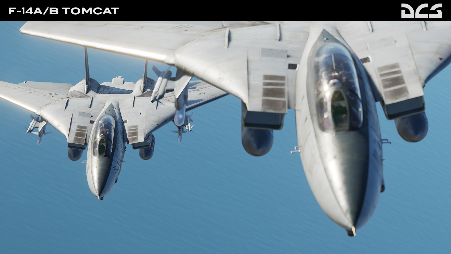 DCS World: F-14A/B Tomcat