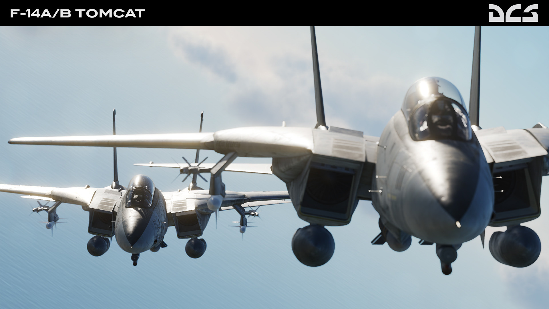DCS World: F-14A/B Tomcat