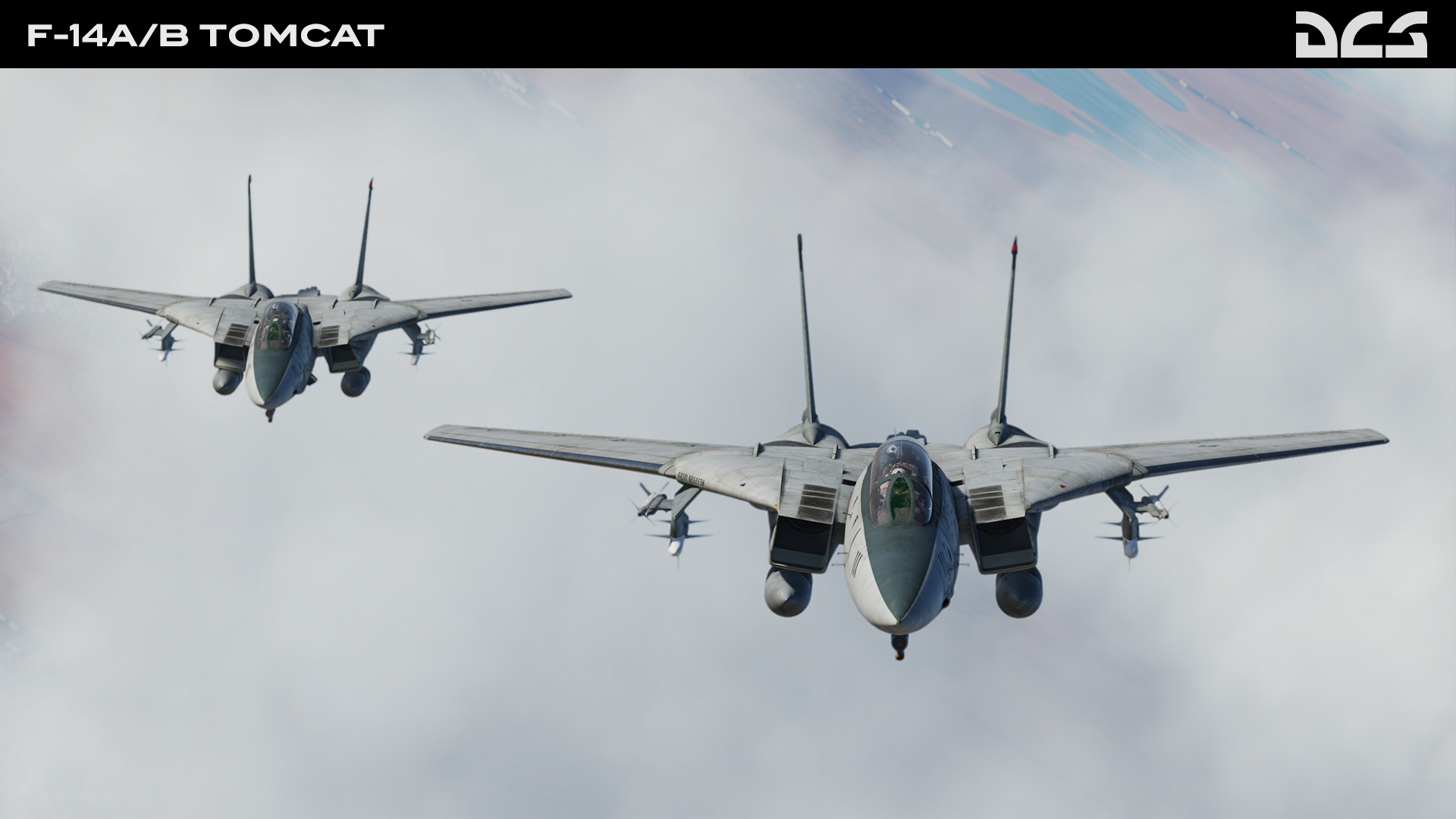DCS World: F-14A/B Tomcat