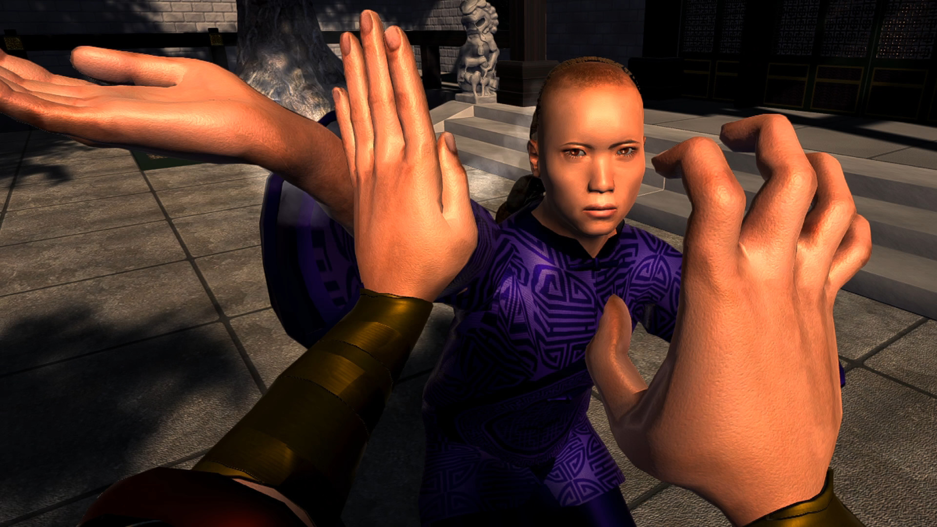Dragon Fist: VR Kung Fu