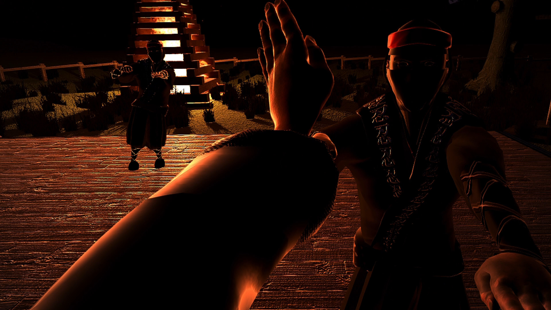 Dragon Fist: VR Kung Fu