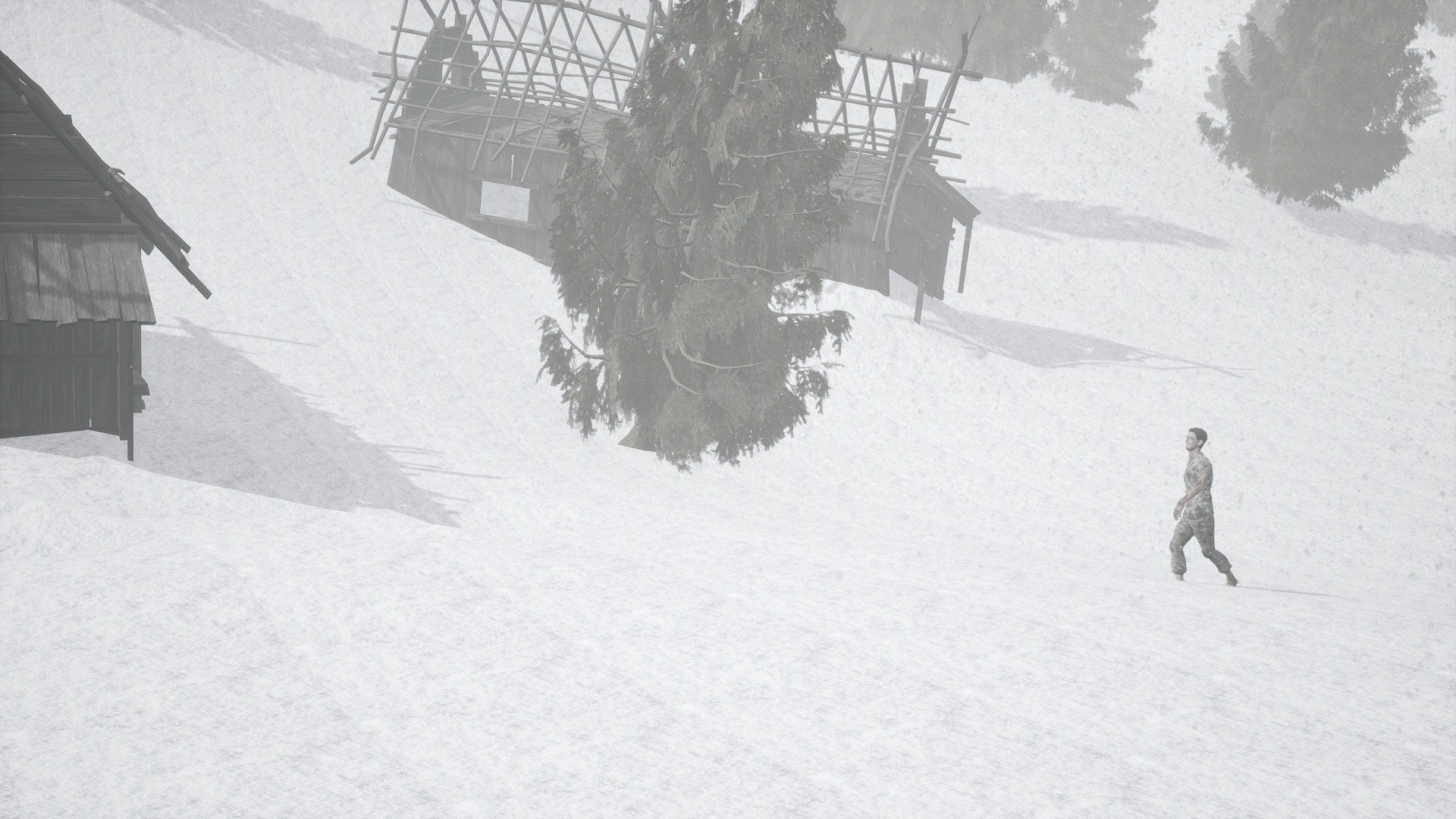 Two Guys One Cabin