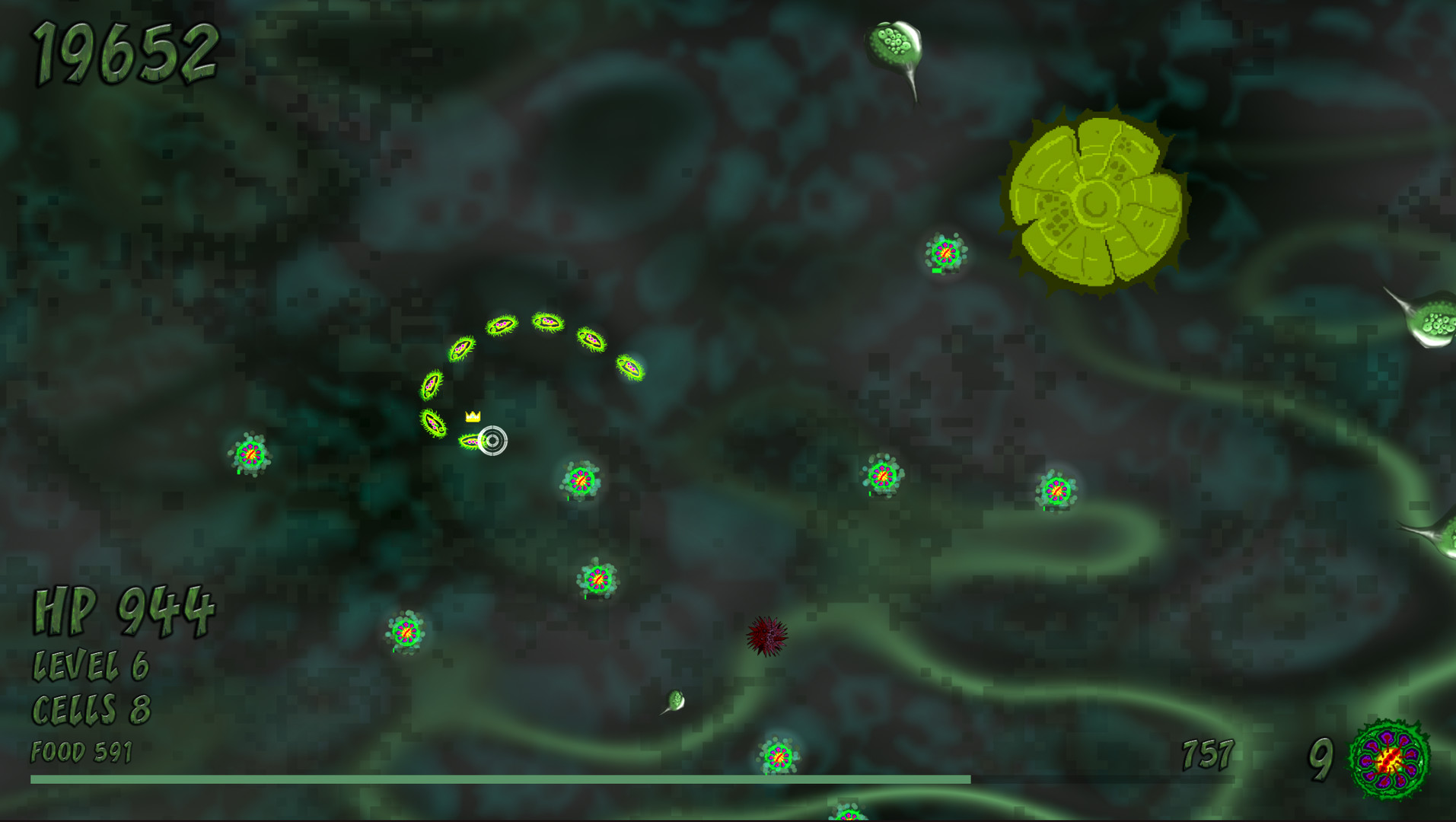Pond Scum