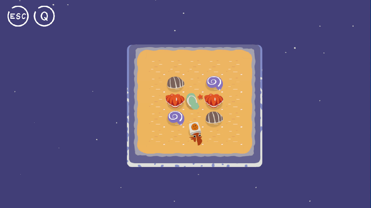 A Hermit Crab is Finding a House