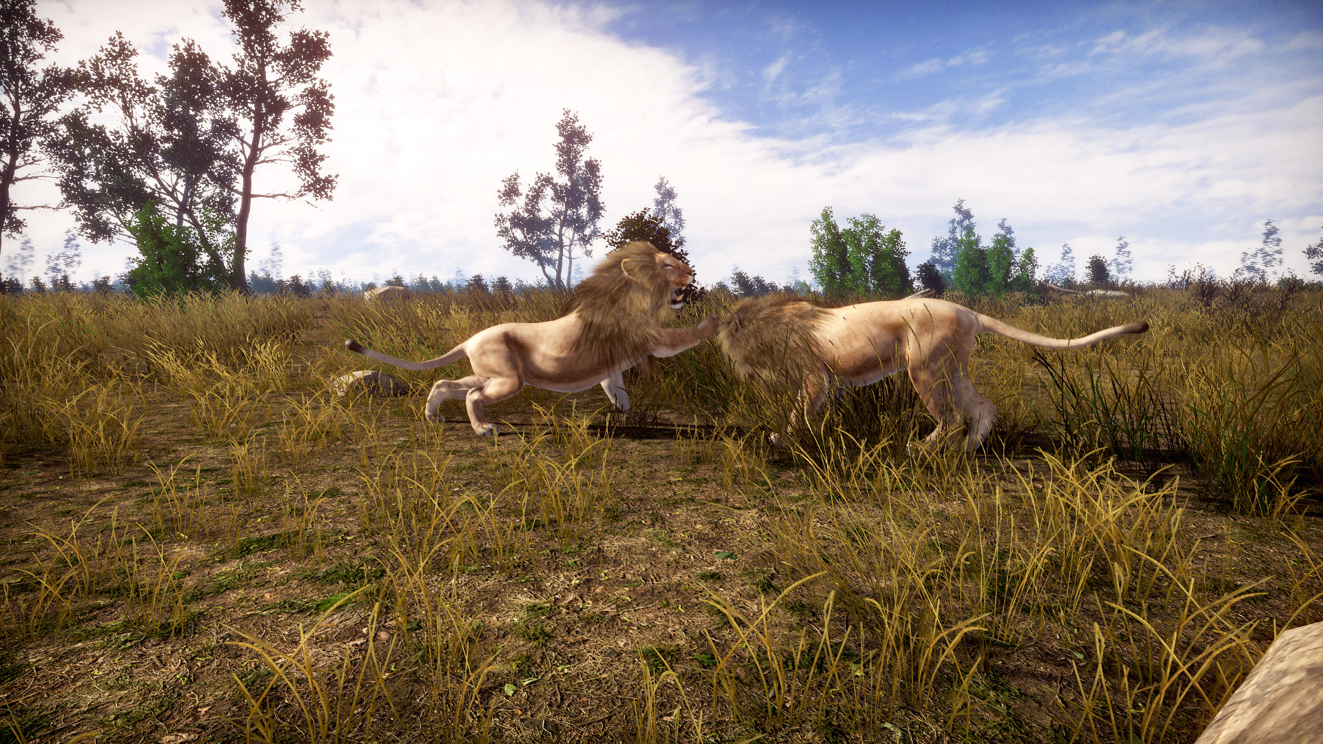 Lightning Fast