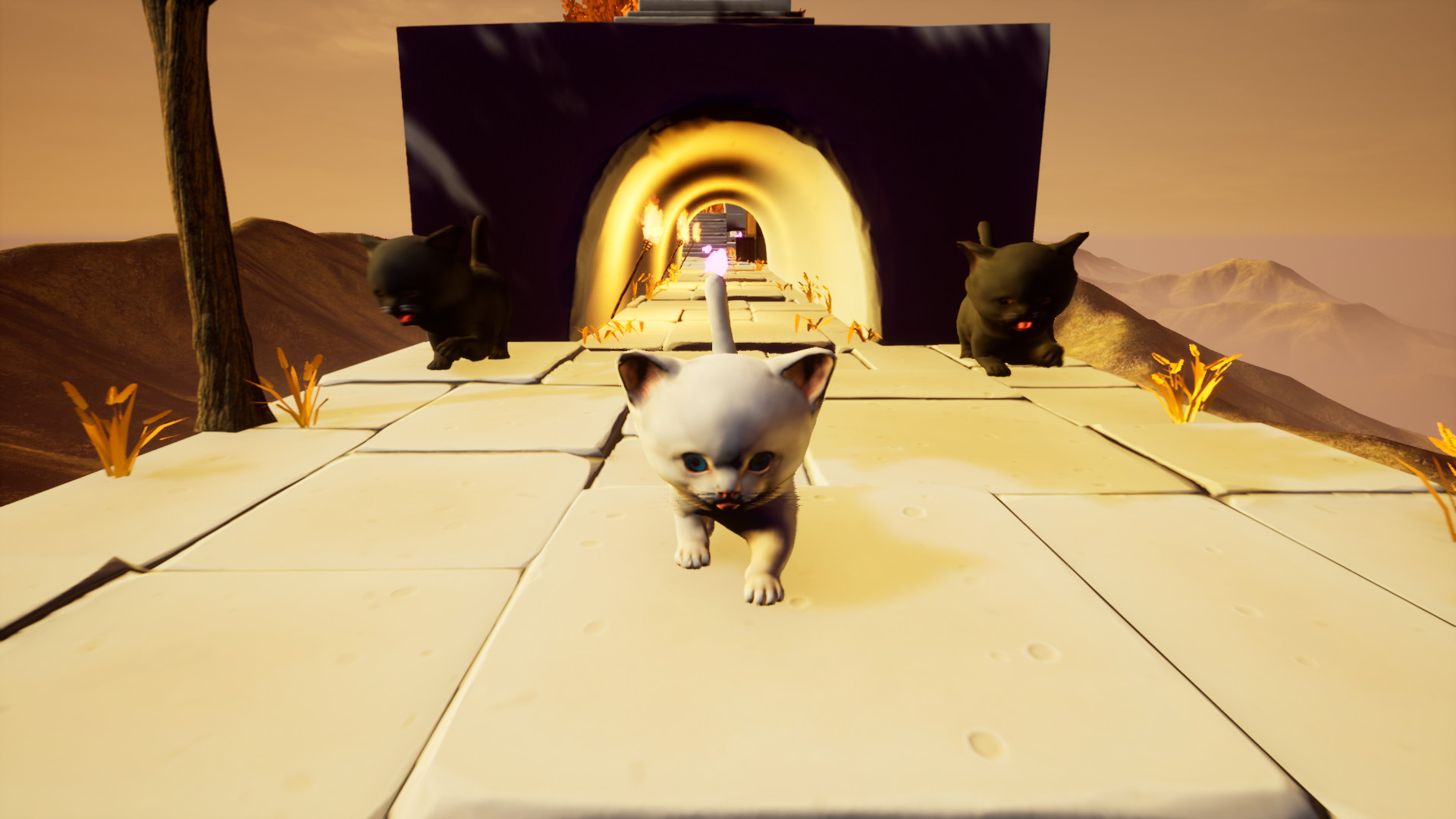 Cat Go! Ultimate Challenge