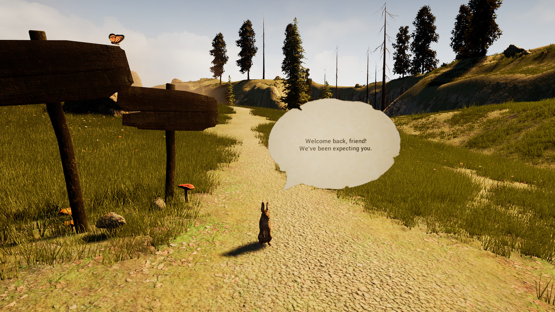 A Rabbit and the Mystic Fog