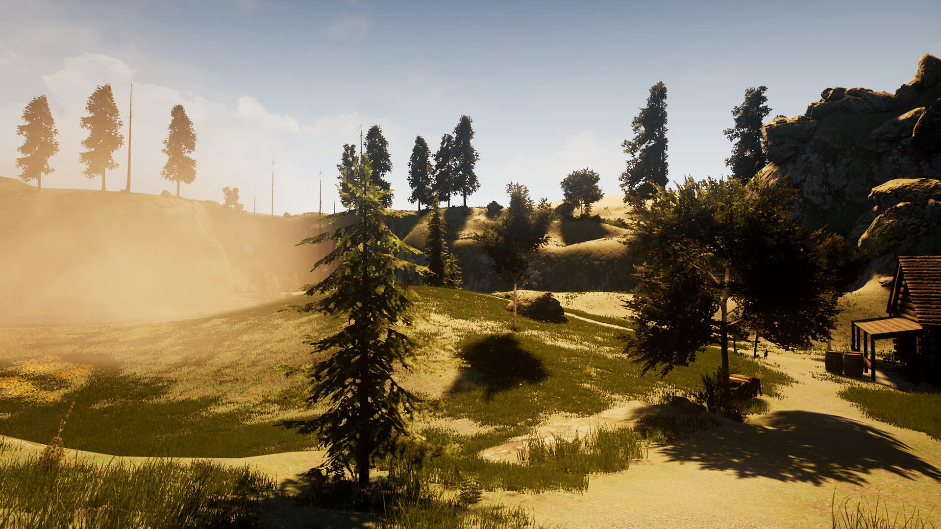 A Rabbit and the Mystic Fog