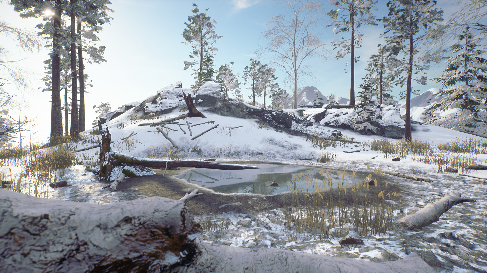 Til Nord