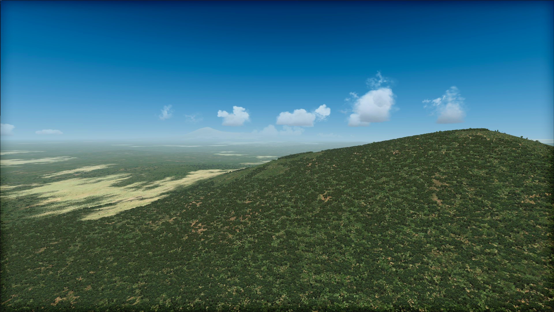 Microsoft Flight Simulator X: Steam Edition – Toposim Central Africa