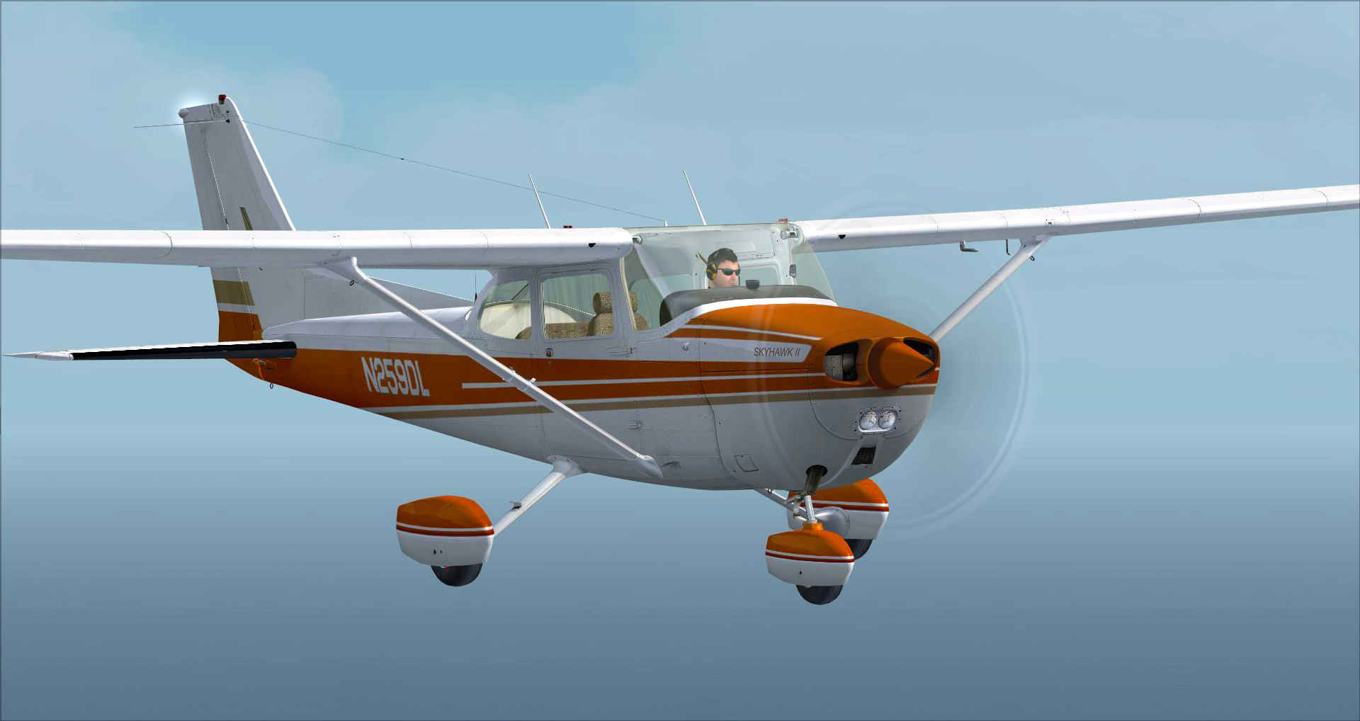 Microsoft Flight Simulator X: Steam Edition – Cessna C172N Skyhawk II