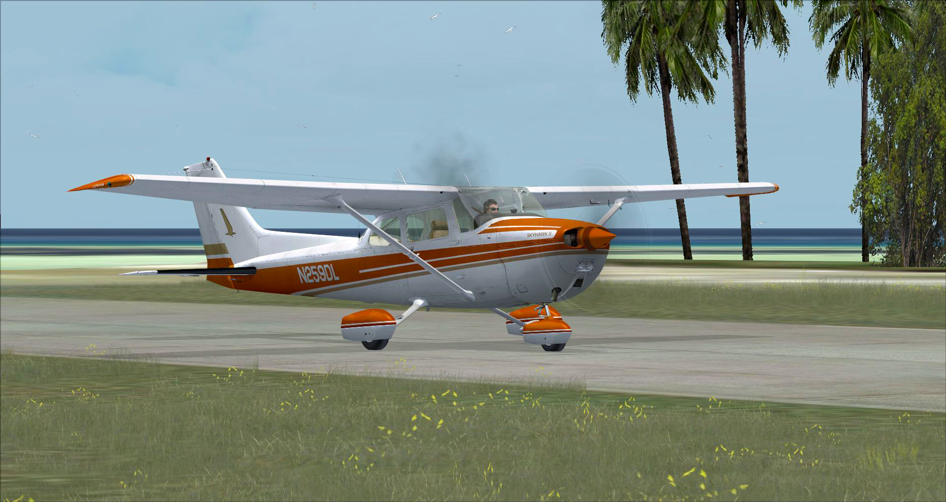 Microsoft Flight Simulator X: Steam Edition – Cessna C172N Skyhawk II