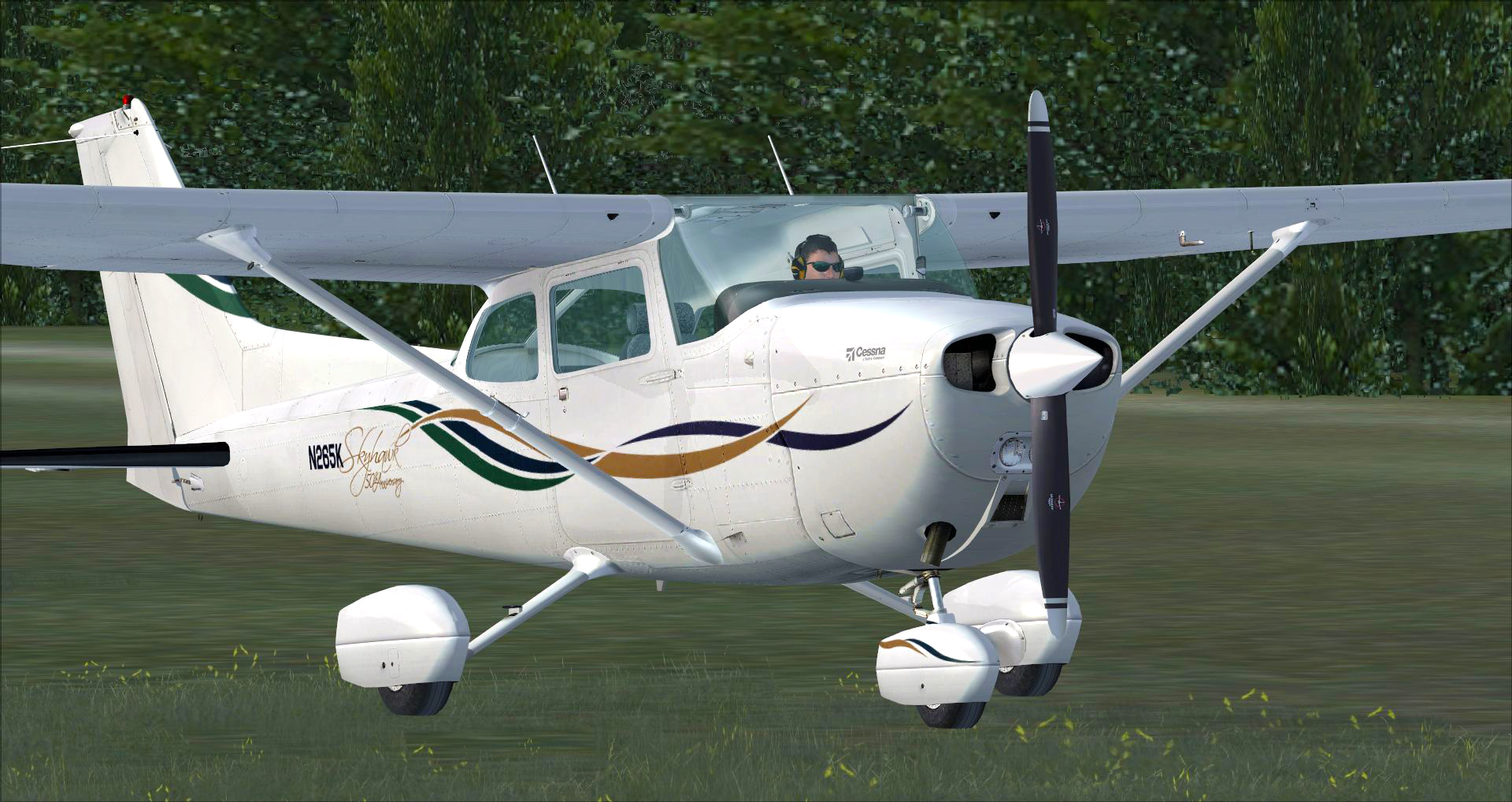 Microsoft Flight Simulator X: Steam Edition – Cessna C172N Skyhawk II