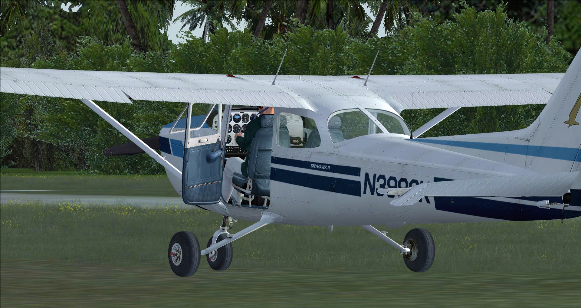 Microsoft Flight Simulator X: Steam Edition – Cessna C172N Skyhawk II