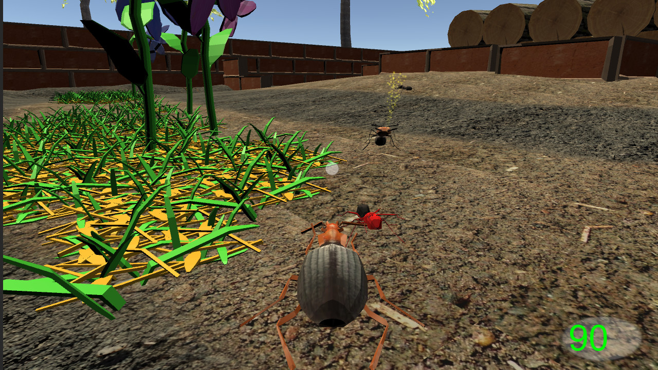 Insect: Bombardier beetle