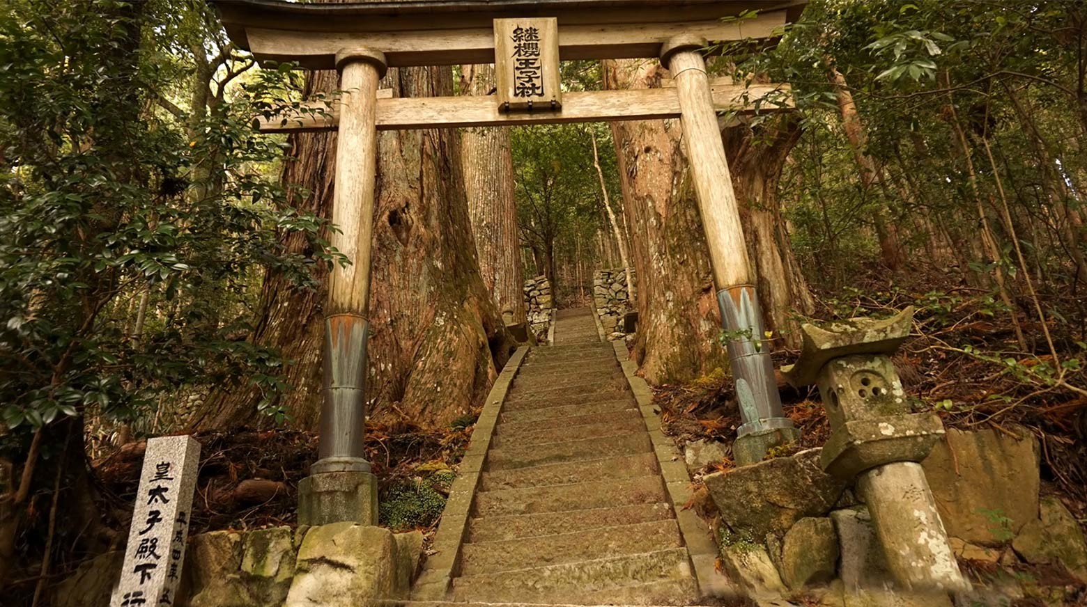 Ona: A Mystical Art Experience