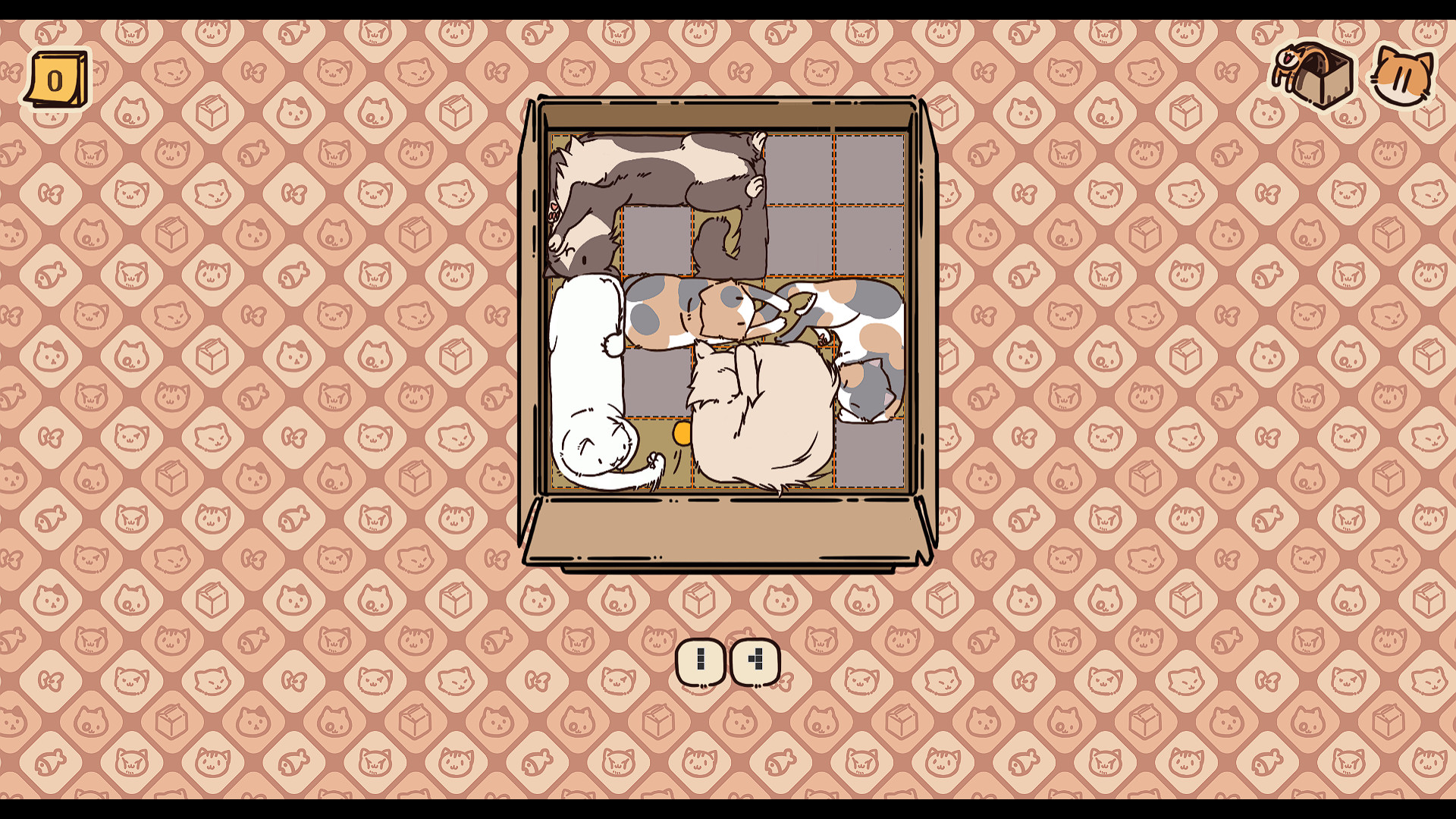 Box Cats Puzzle