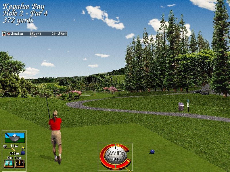 Links LS: 1998 Edition