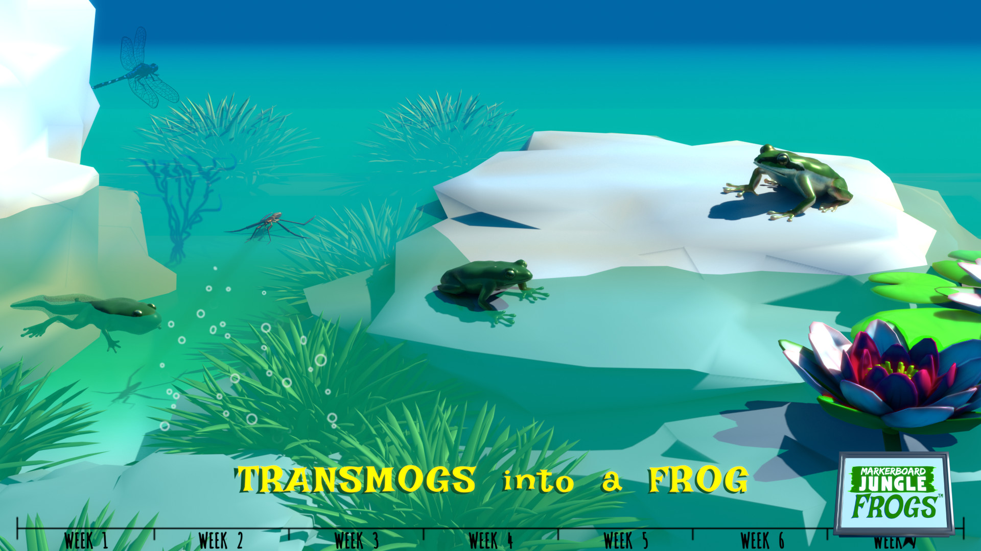 Markerboard Jungle: Frogs