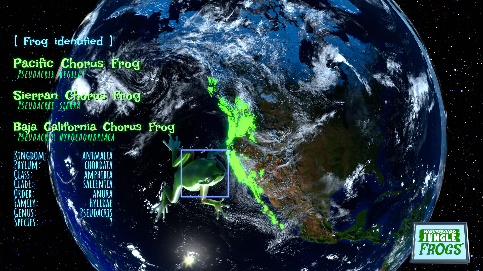 Markerboard Jungle: Frogs