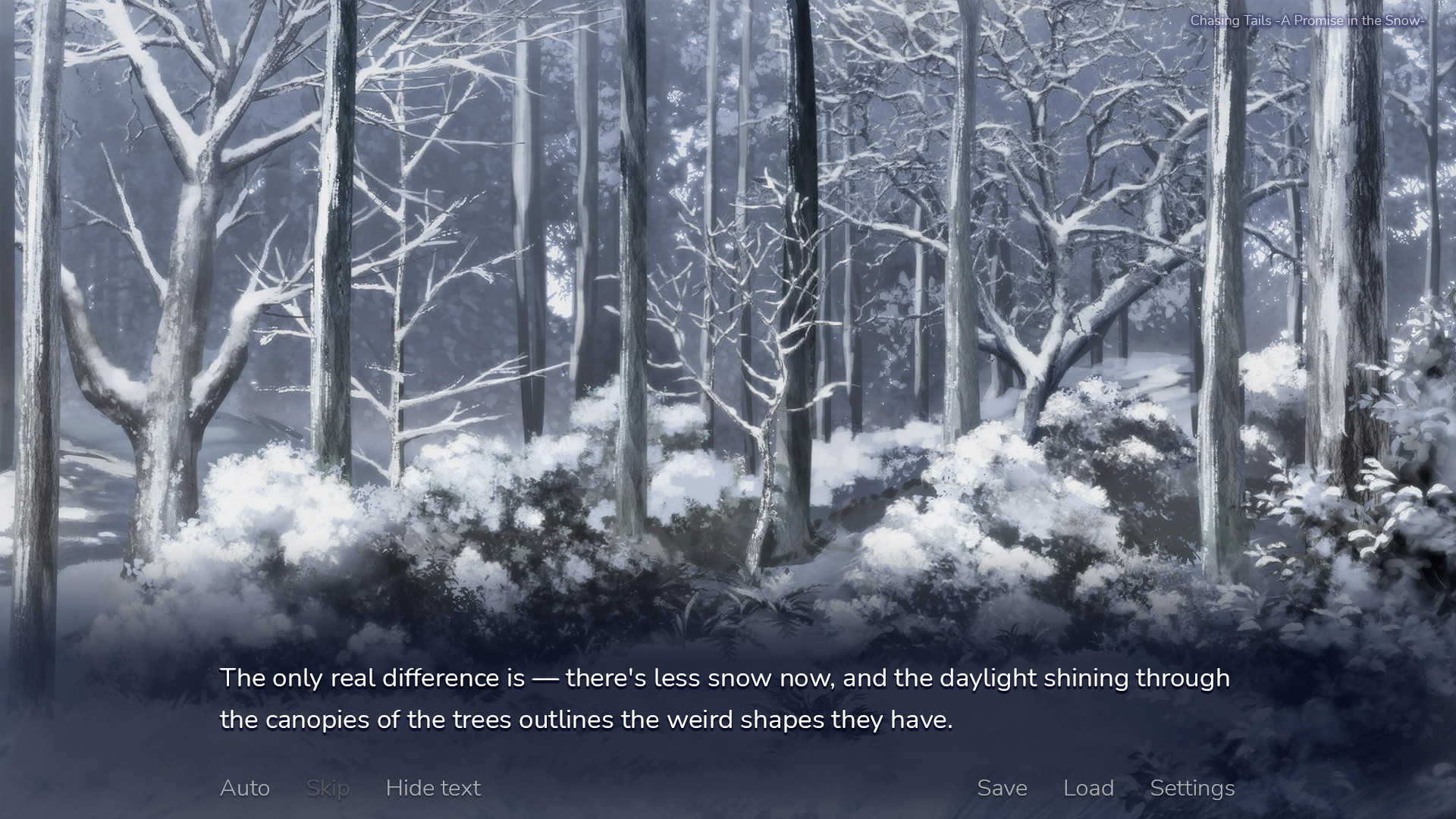 Chasing Tails: A Promise in the Snow