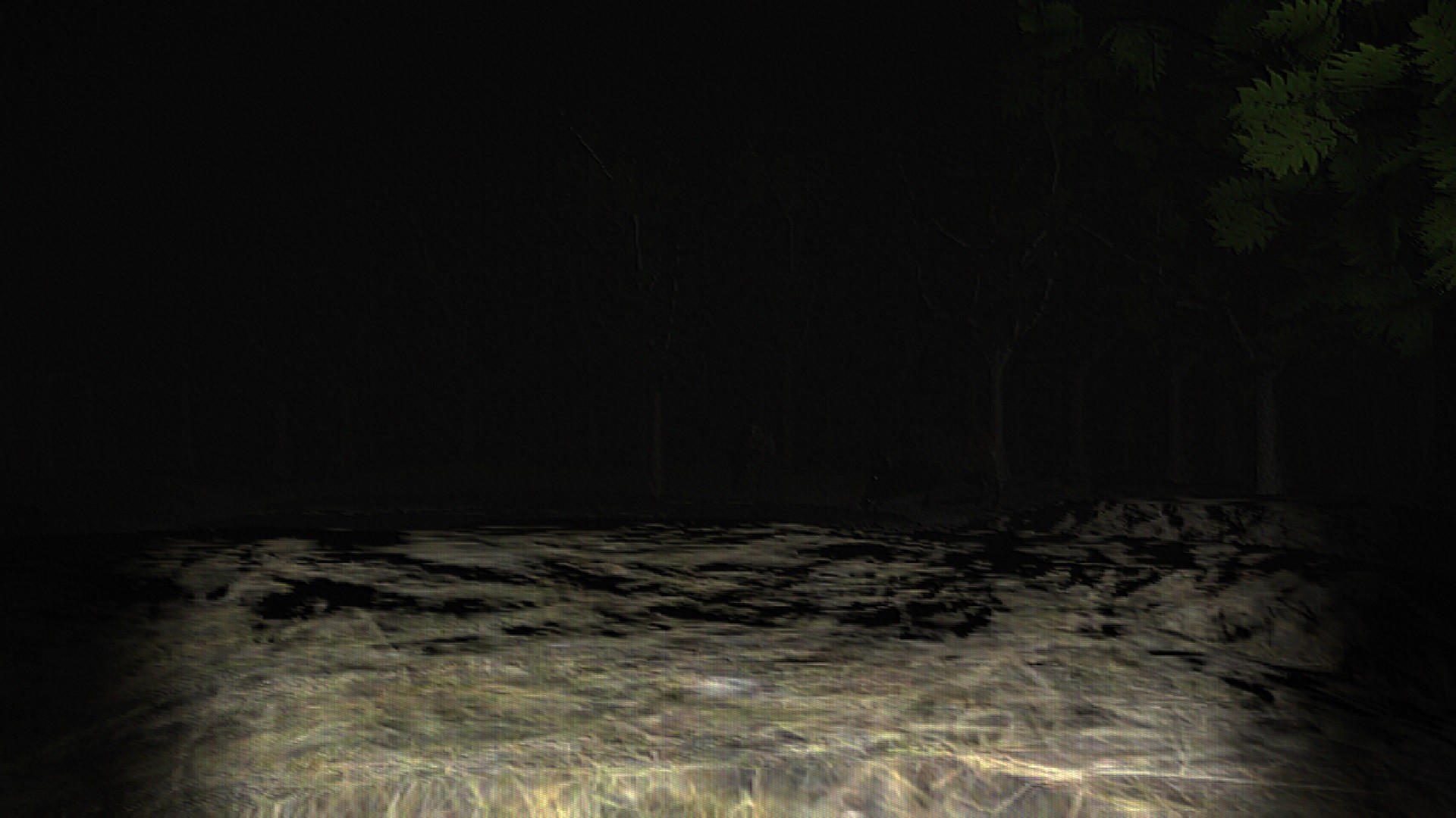 Hog Hunter 2021
