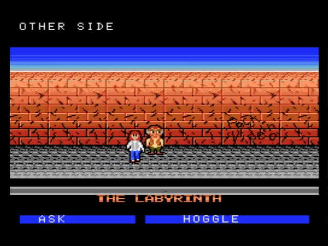 Labyrinth: The Computer Game