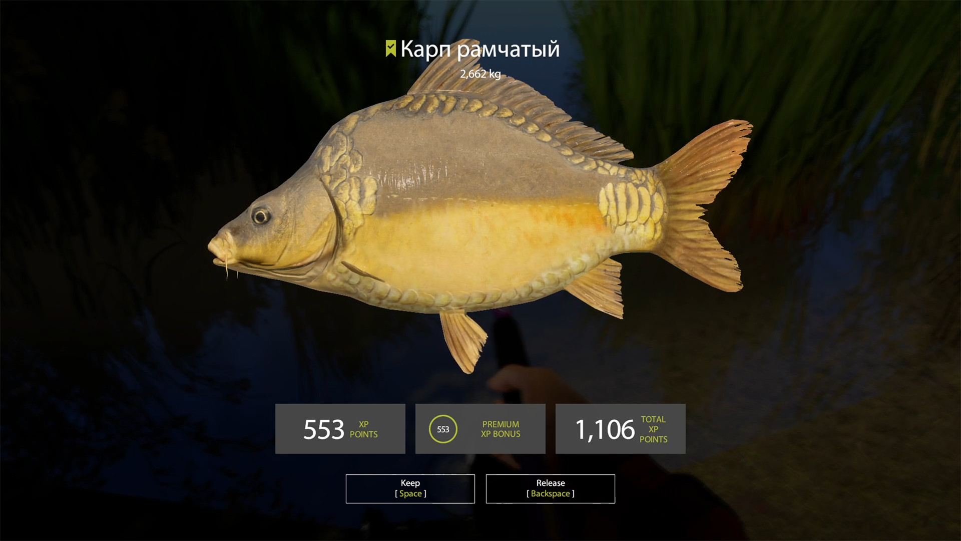 Russian Fishing 4: Amber Lake