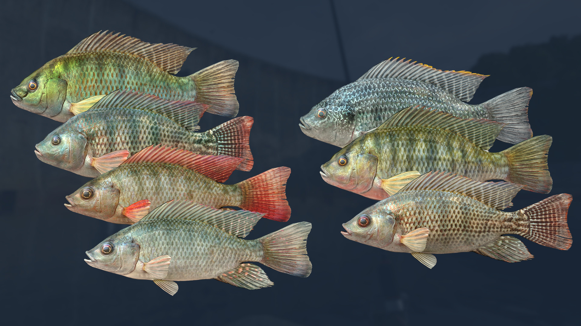 Ultimate Fishing Simulator VR: Kariba Dam