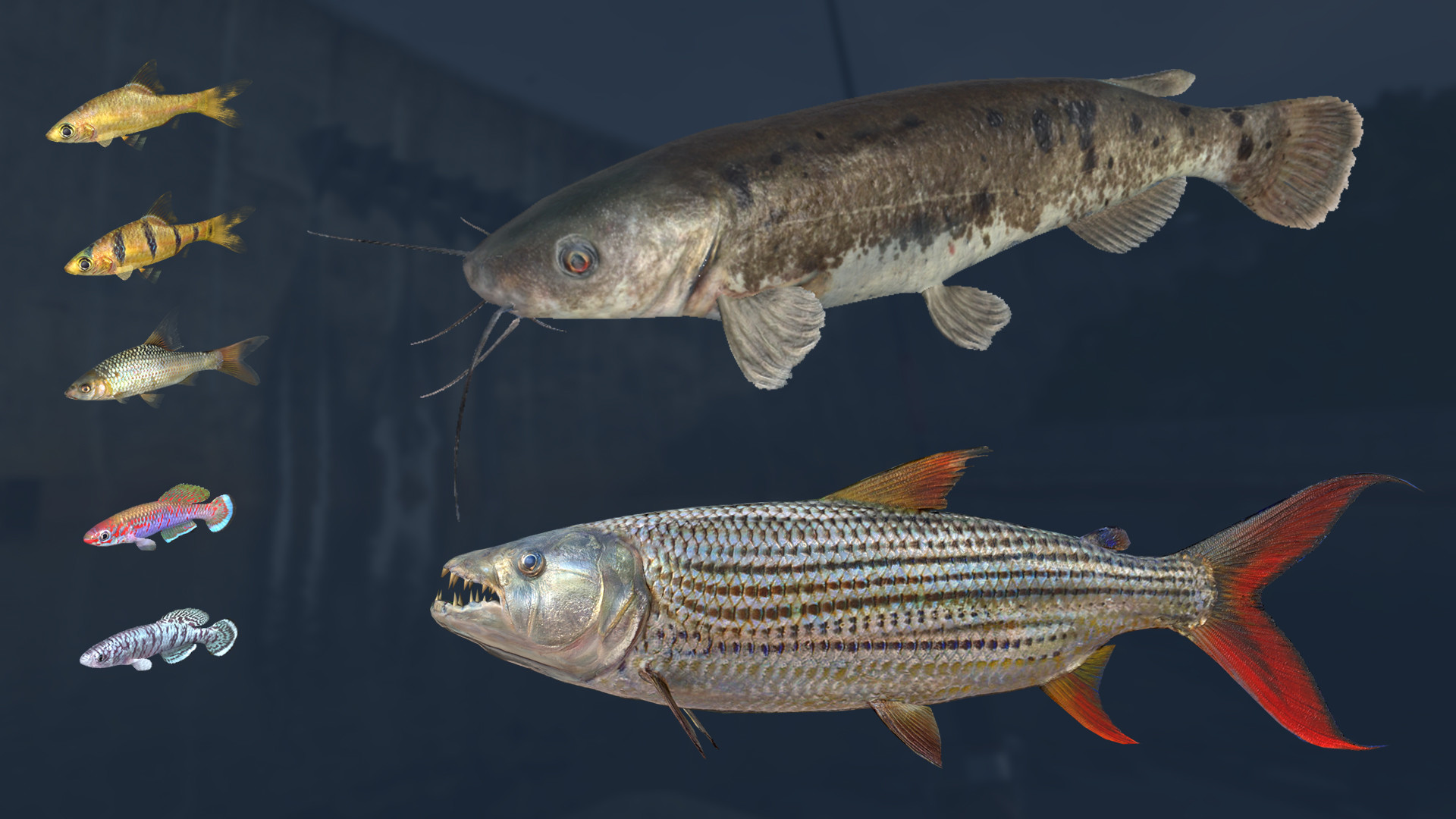 Ultimate Fishing Simulator VR: Kariba Dam