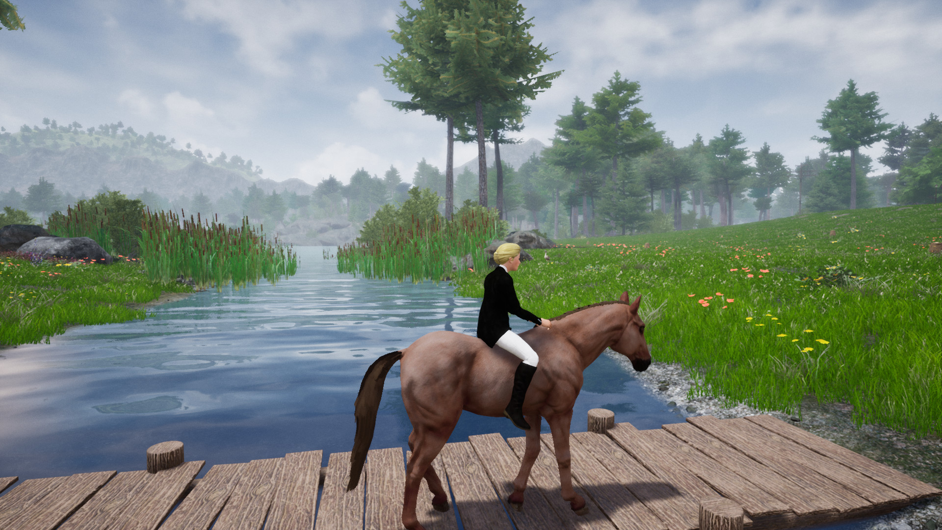 Horse Riding Deluxe 2