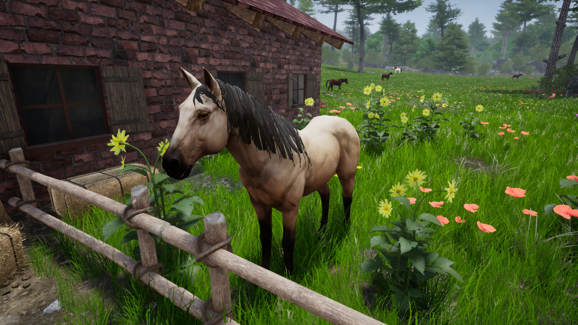 Horse Riding Deluxe 2