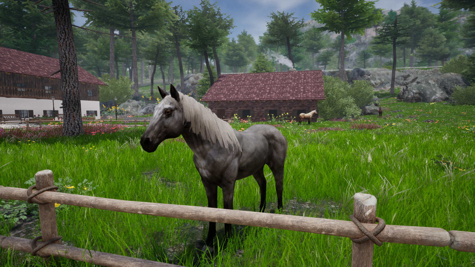 Horse Riding Deluxe 2