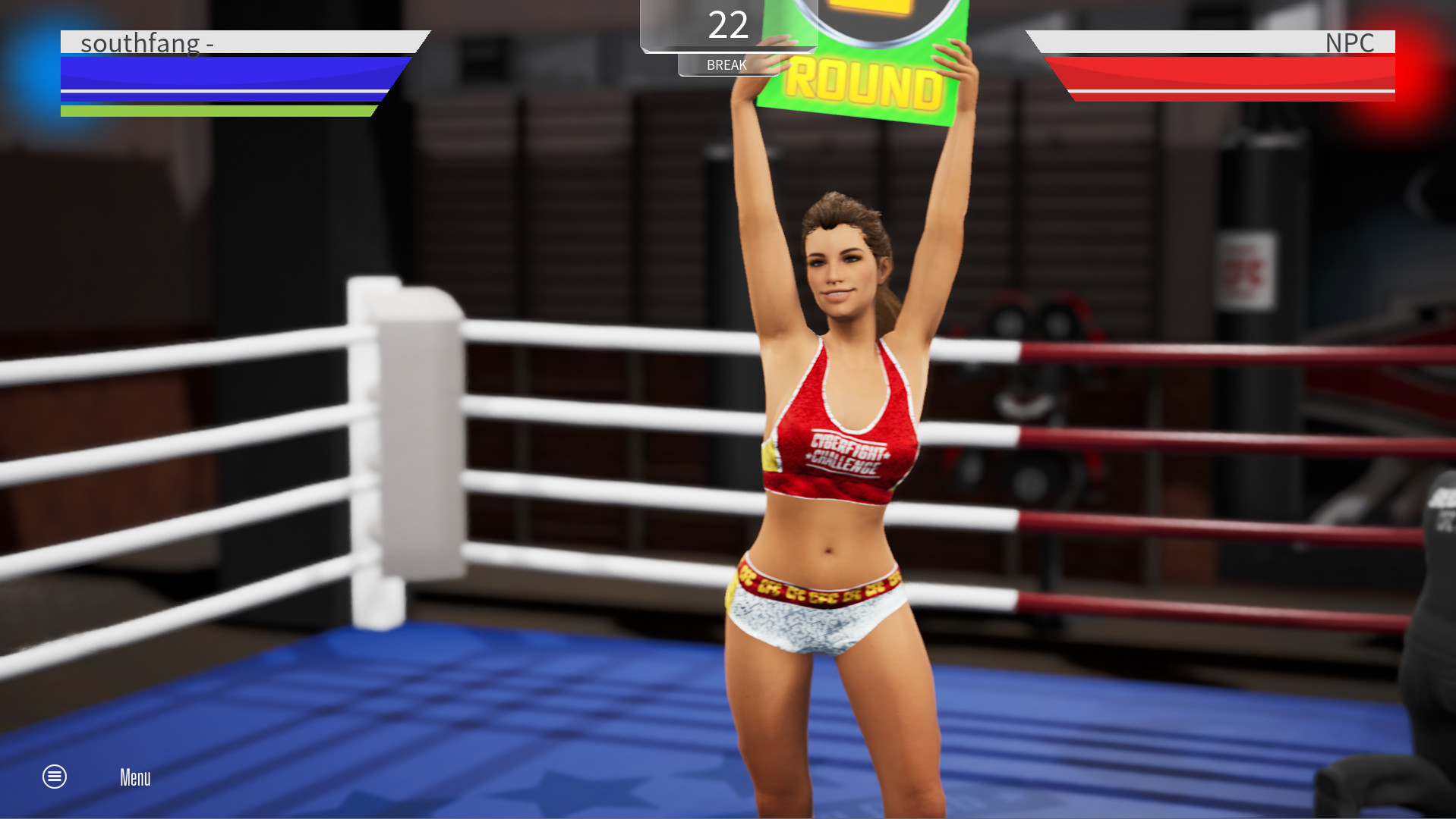 Cyber Fight Challenge