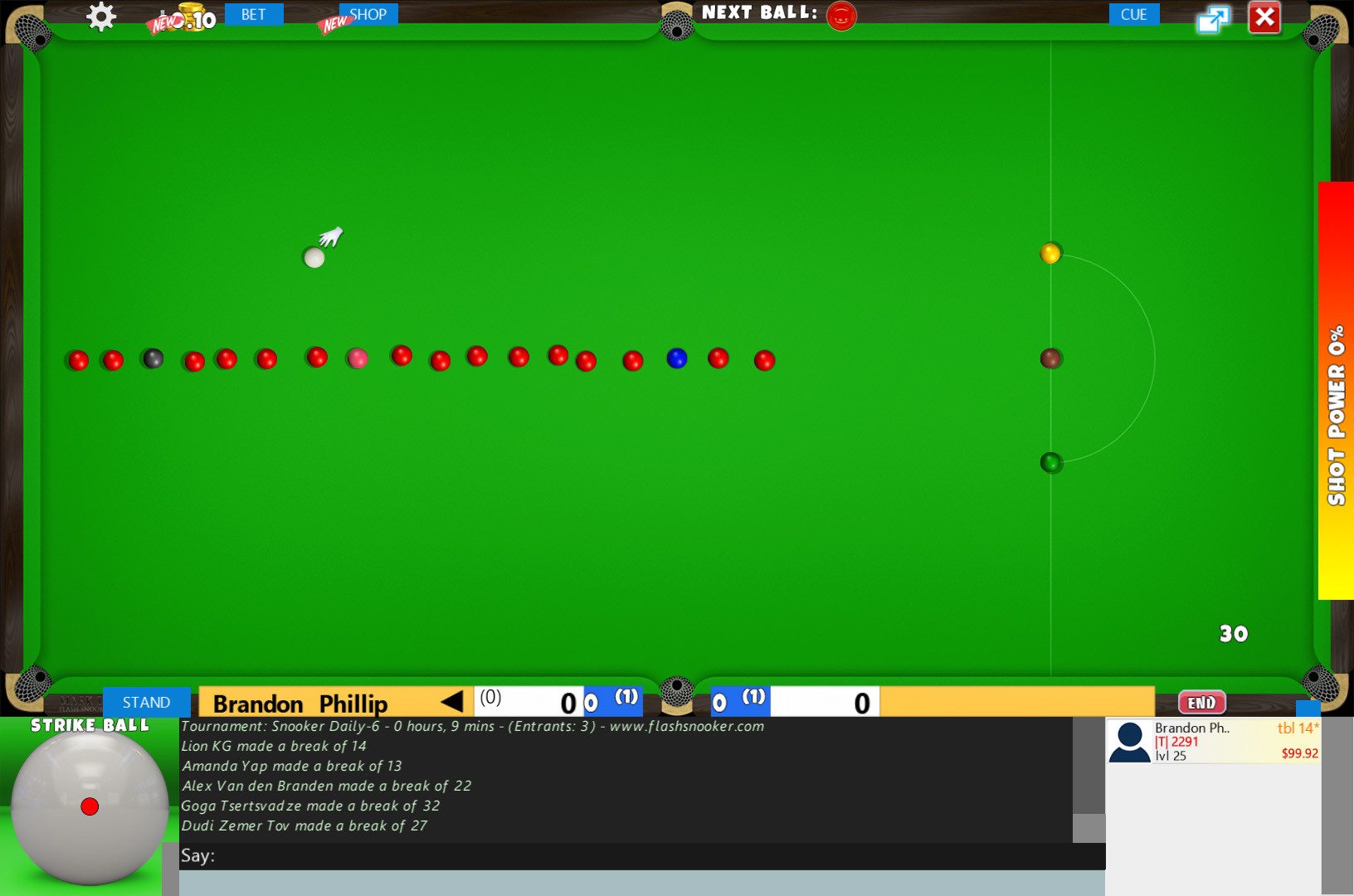 Flash Snooker Game
