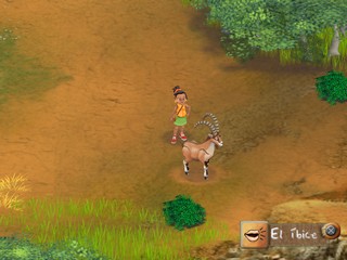 Safari Adventures: Africa