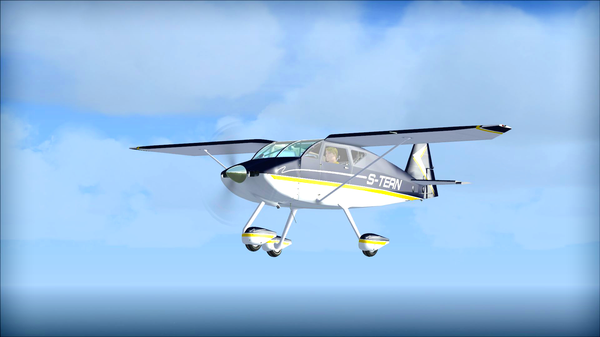Microsoft Flight Simulator X: Steam Edition – Wittman Tailwind