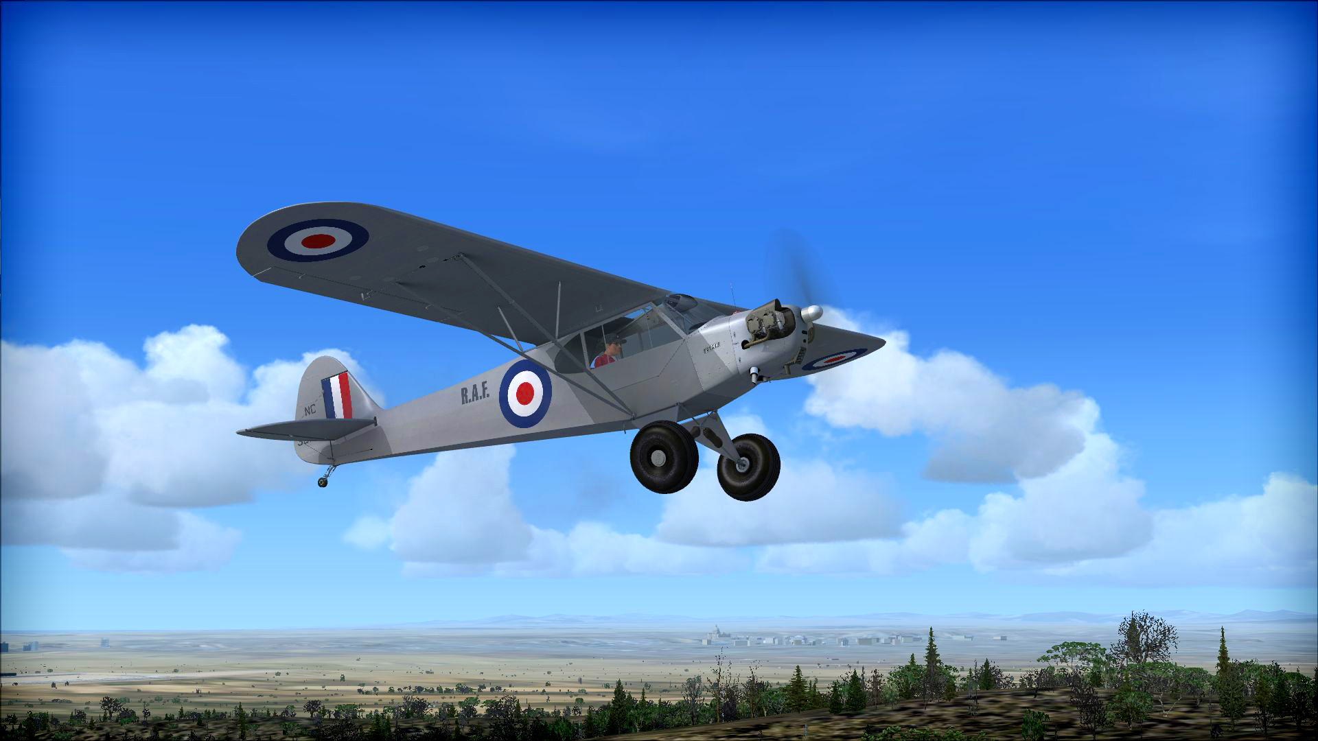 Microsoft Flight Simulator X: Steam Edition – Piper J-3 Cub