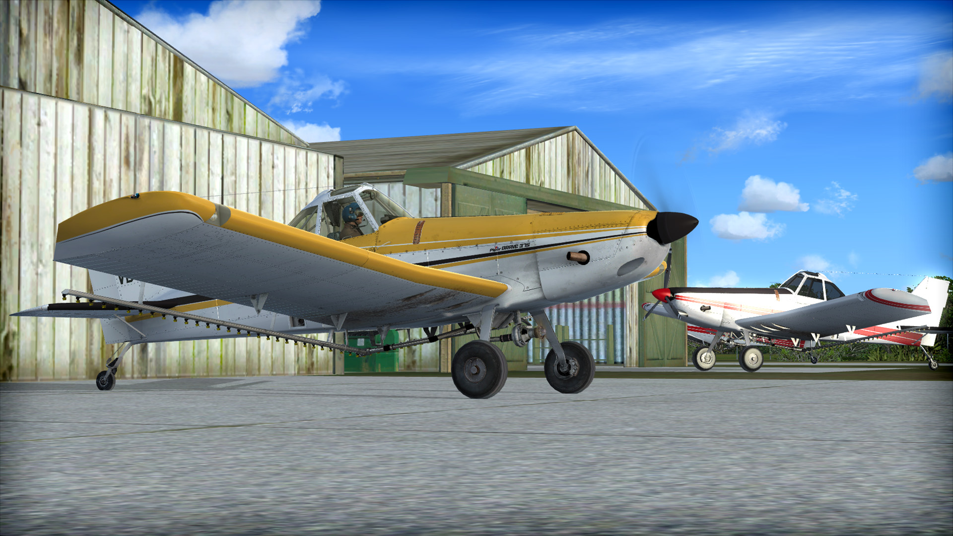 Microsoft Flight Simulator X: Steam Edition – Piper PA-36 Pawnee Brave 375