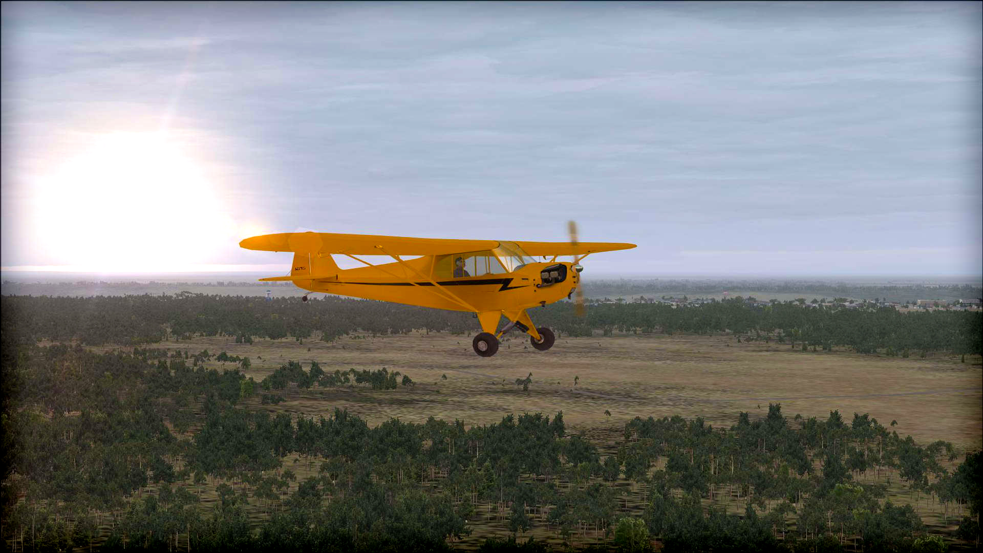 Microsoft Flight Simulator X: Steam Edition – Natural Tree Environment X