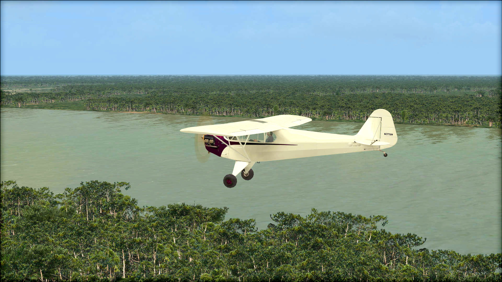 Microsoft Flight Simulator X: Steam Edition – Natural Tree Environment X