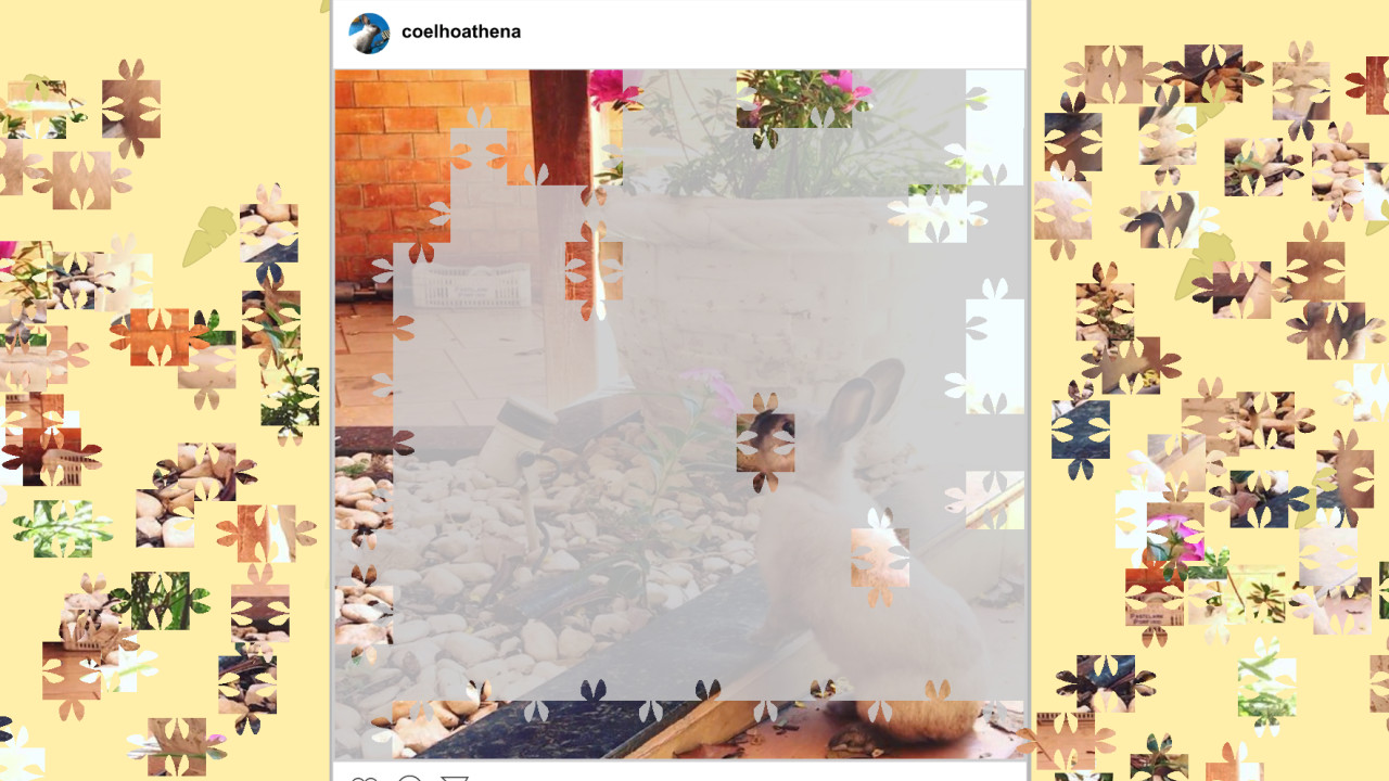 Athena, the rabbit: Jigsaw Puzzle