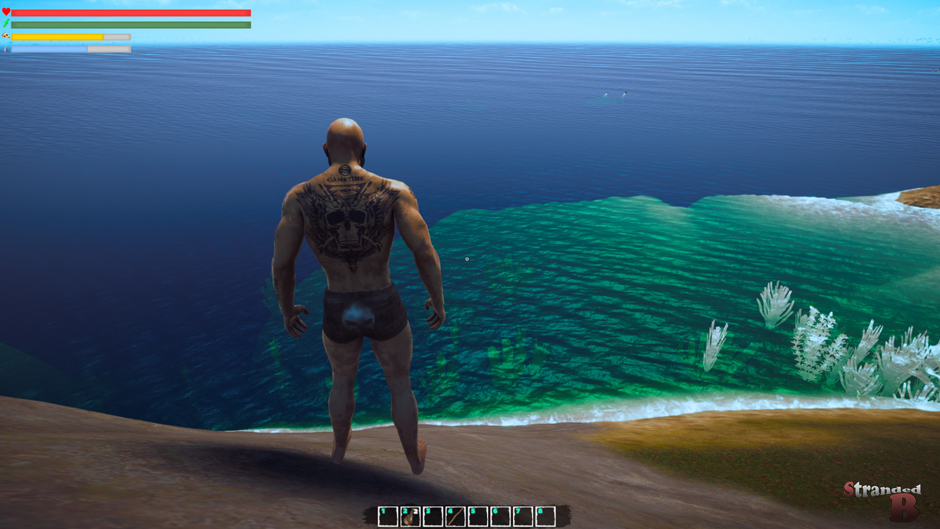 Stranded B