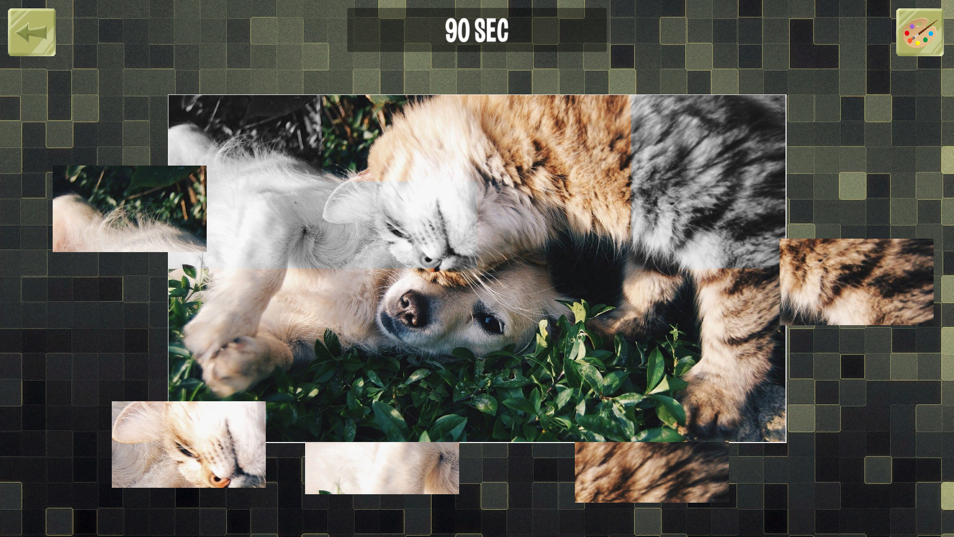Good puzzle: Animals