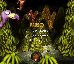 Donkey Kong Country: Boss Blitz